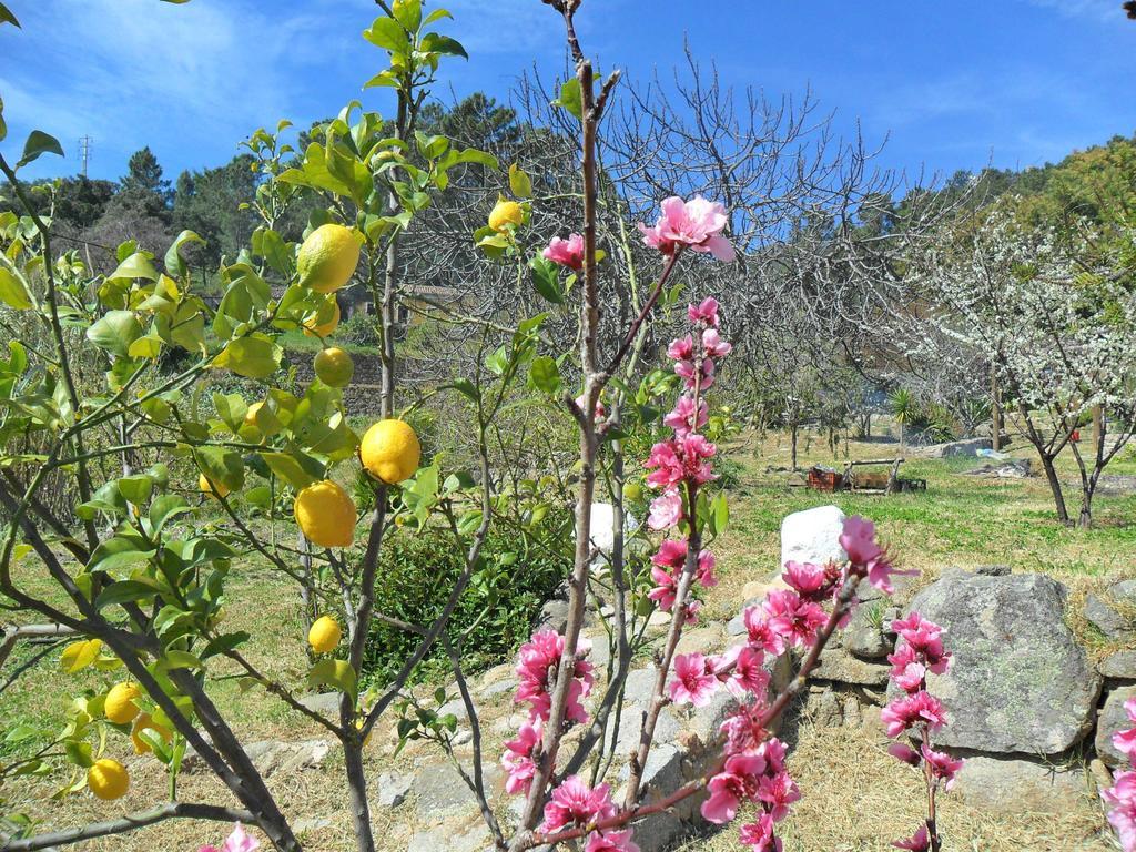 Quinta Do Tempo Turismo Rural Monchique Ruang foto