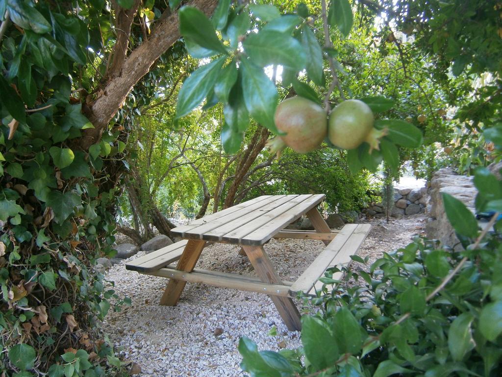 Quinta Do Tempo Turismo Rural Monchique Bagian luar foto